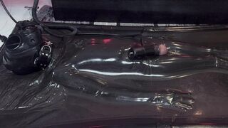 V11 VV11 [PP TRAINING]