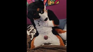 POURING CUM @AngryBarks edges with you to denied orgasm over and over until both of you..