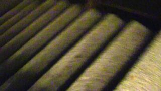 Debt Dandy: The Artistry of Allure: A Model’s Misfortune